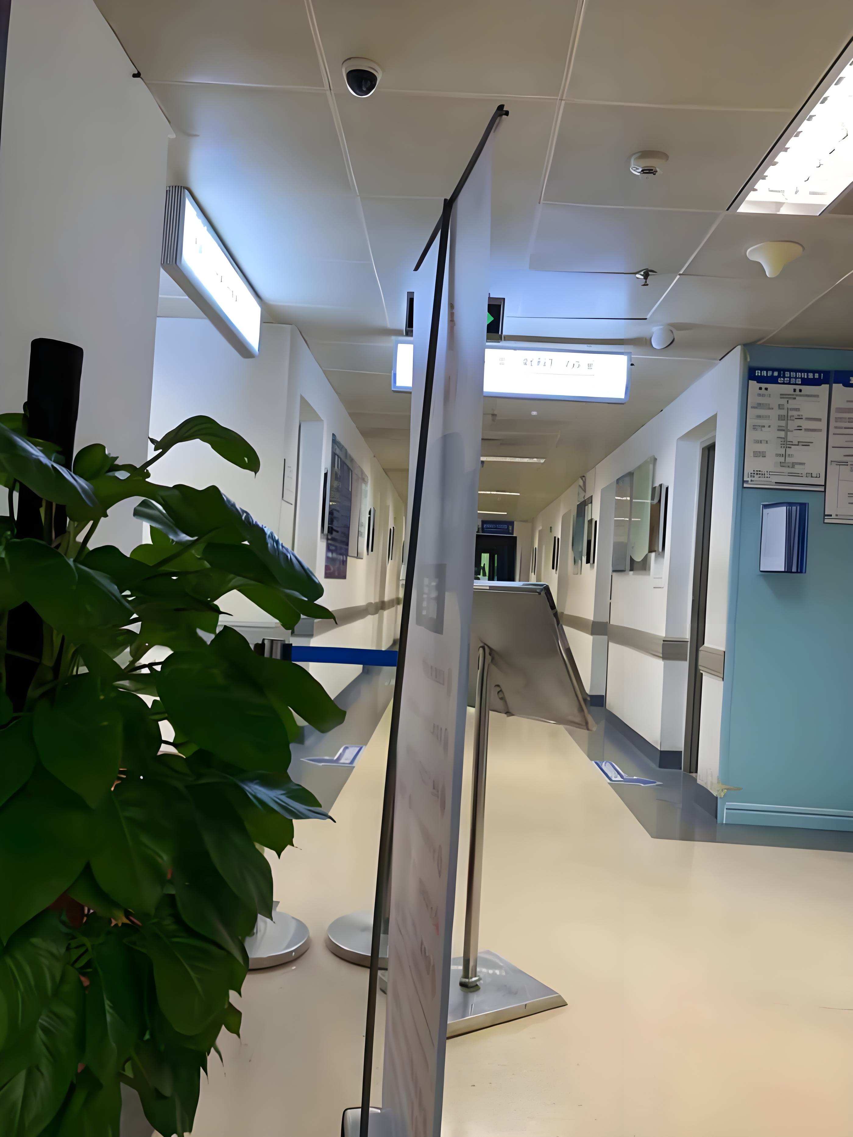 球速体育同质透心地板