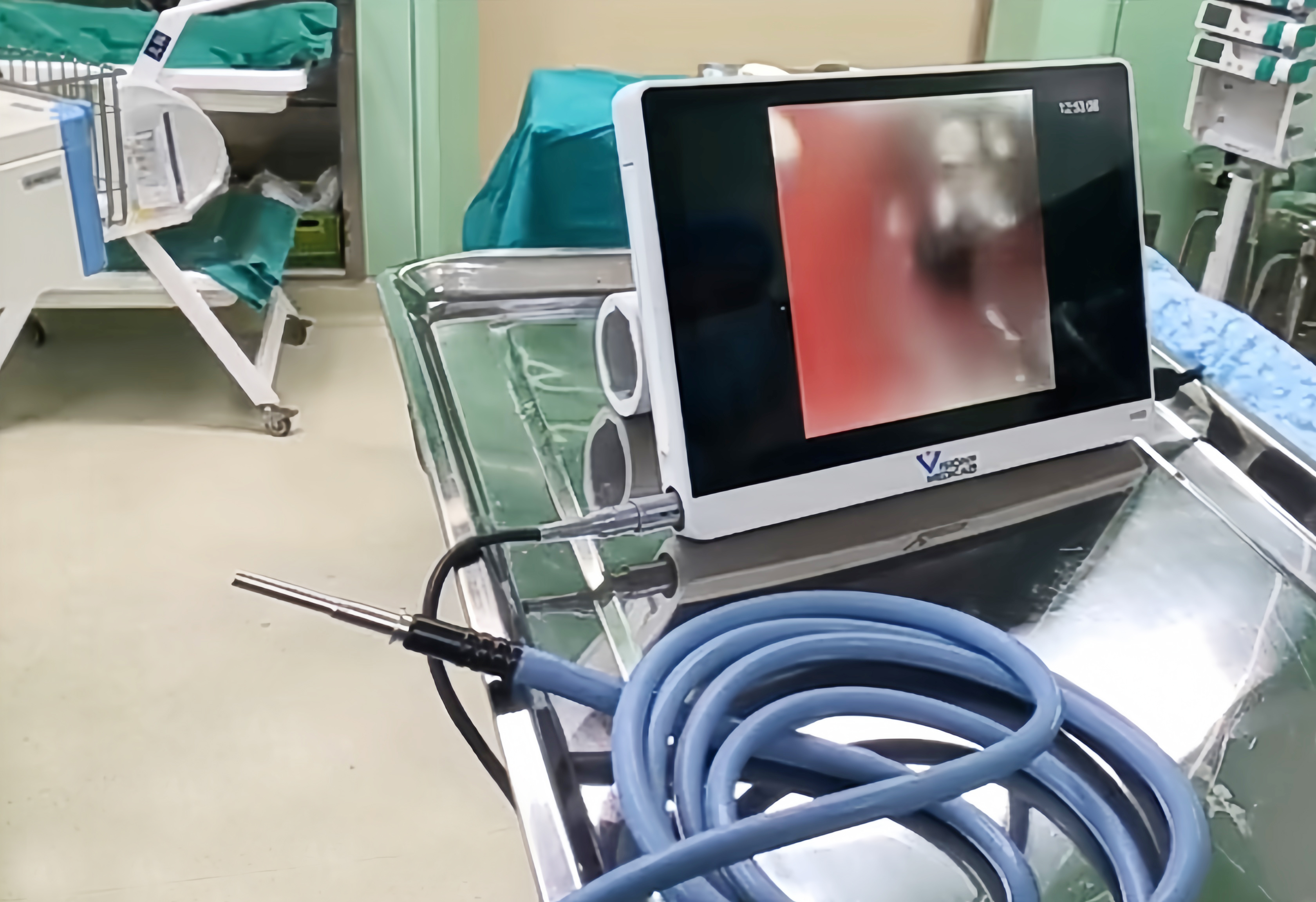 球速体育同质透心地板